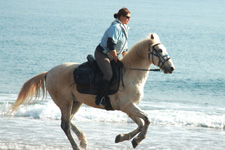 Spain-Catalonia-Catalonia Mountain To Sea Trail